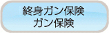 終身ガン保険 ガン保険