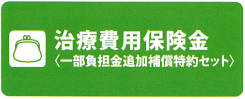 治療費用保険金（一部負担金追加補償特約セット）