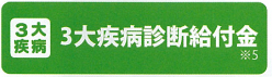 3大疾病診断給付金